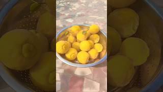 Itne sare lemon 🍋💛.#lemon #youtube #youtubeshorts #youtubepartner #viral