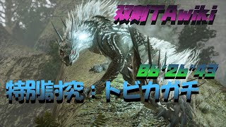 【MHR:S】特別討究：トビカガチ 双剣 06'26\