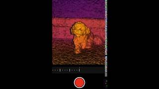 Record3D iOS App — Record 3D Videos, show them in AR & Stream Point Clouds via USB cable!