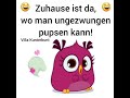 der furzende vogel