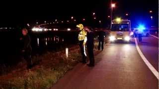 Woerden.TV | Koeien op snelweg A12 Harmelen