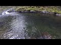 小河钓大鱼 october steelhead bobber down