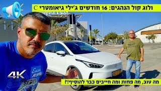 מדריך: 16 חודשים עם ג'ילי גיאומטרי C: שלב התובנות, מה חייב שיפור?