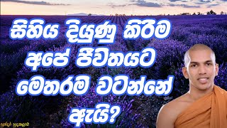 පුලුවන් කාළයේ කොච්චර සෙල්ලම් දැම්මත් අවසානයේ දියුණු නොකරන ලද සිහිය අවදානම් බව ඔබ දන්නවාද?