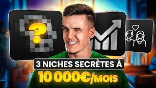 Les 3 meilleures NICHES SEO en 2025 pour faire 10 000€/mois  + STRATÉGIE