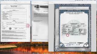 How to apostille a Los Angeles California Birth Certificate signed by Jonathan E. Fielding