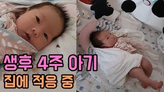 생후 4주 아기 영상, 집에 적응 중