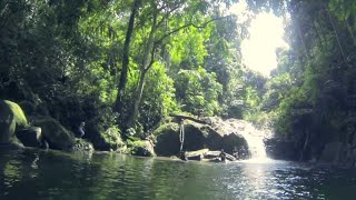 Kampar Waterfall, Perak, Malaysia.