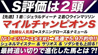 マイルチャンピオンシップ 2022【予想】最終追い切りで動きが良化！シュネルマイスター ＆ サリオス ＆ ソダシをも上回る！好調教馬に選ばれたのは？！