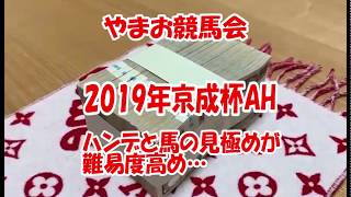 【競馬予想】２０１９年京成杯AH