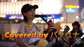 【今日ヤバイよね⁉️】チェリー/スピッツ Covered by パクユナ in 新宿