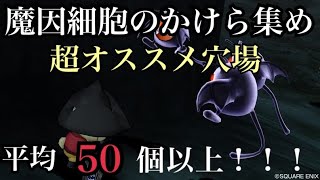 【ドラクエ10実況】ドラキー強　魔因細胞のかけら集め　金策のやり方【DQ10】