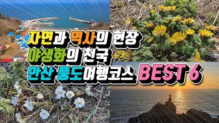 안산 풍도 여행 /3월에 가볼만한곳/ 3월 추천 여행지 /국내여행/ 야생화의 천국 /경기도 보물섬/ 국내여행 /섬여행 /안산 가볼만한곳/경기도 가볼만한곳/풍도 해전