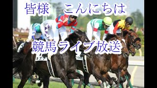 競馬ライブ　朝日杯フューチュリティ―ステークス2021　だらだら競馬