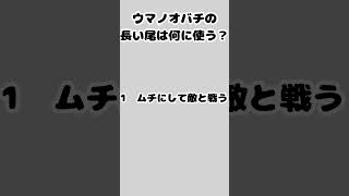 【クイズ王必見！】昆虫雑学の超難問に挑戦！あなたは正解できるか？究極の脳トレ【第6弾】