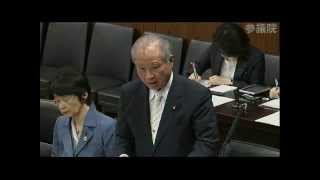 2013/05/29 参議院 沖縄及び北方問題に関する特別委員会 社民党 山内徳信の質疑