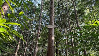 【キャンプ場紹介予告】和歌山県上富田町にあるGrandma's Garden Kamitondaの紹介予告です。本編は公開後にコメント欄にurlを記載します