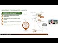 doré copper mining corp. tsxv dcmc otcqx drcmf investor presentation