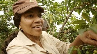 Grace Hightower De Niro on Her Rwandan Coffee Company