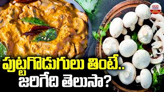 పుట్టగొడుగులు తింటే..జరిగేది తెలుసా? | Health Benefits Of MUSHROOMS | ABN Digital