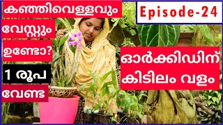 കഞ്ഞിവെള്ളവും വേസ്റ്റും|ORCHID CARE IN MALAYALAM |DENDROBIUM GROWING SERIES EPISODE 24|SULUZ DIARIES