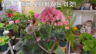 꺅~~넘 심쿵💕 / 나눔해요