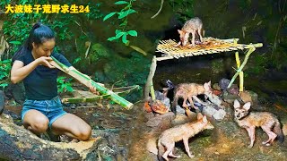 大波妹子荒野求生遭遇郊狼群，打造魚籠捕魚，實現魚肉管飽，製作弓弩射郊狼，夜間卻是遭到了郊狼的報復，美女荒野求生24！