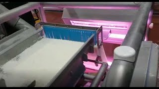 Dryce : sorting machine used for cauliflower rice | Raytec Vision