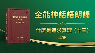 關于追求真理《什麽是追求真理（十三）》上集