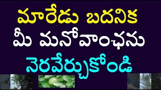 మారేడు బదనిక తో మీ మనోవాంఛను నెరవేర్చుకోండి@Astrosciencewithremedies