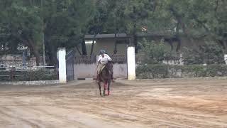 Tent pegging event by Shri Atul Karwal, IPS, Director, SVP National Police Academy