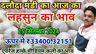 दलोदा मंडी आज का लहसुन का भाव 25 सितम्बर 2024 |garlic rate today daloda |lahsun ka bhav