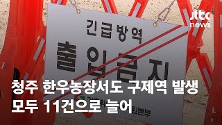 청주 한우농장서도 구제역 발생…모두 11건으로 늘어 / JTBC News