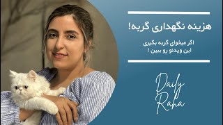 !هزینه نگهداری گربه/ اگر میخوای گربه بگیری، این ویدئو رو ببین