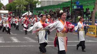 こうべりや　第65回よさこい祭り