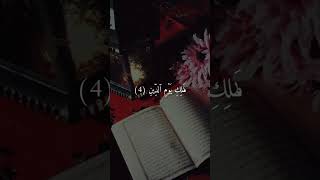 The Amazing Quran - The Best Quran Recitation in the world (4)