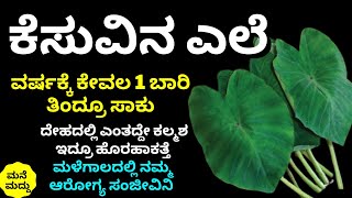 ವರ್ಷದಲ್ಲಿ ಒಮ್ಮೆಯಾದ್ರೂ ತಿನ್ನಿ ಈ ಎಲೆ ಮಳೆಗಾಲದಲ್ಲಿ ತಿನ್ಲೇಬೇಕು ಯಾಕೆ ಗೊತ್ತಾ?| Taro Leaves | Colocasia Leaf