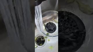 Exactly How To Use A Garbage Disposal