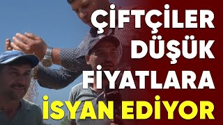 Çiftçiler TMO'nun Düşük Fiyat Politikalarına İsyan Ediyor