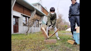 【野外体験】薪割り体験に挑戦したよ🪵 北海道で農業体験👩‍🌾 北海道旭川市💫 Asashikawa city in Hokkaido