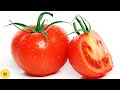 What happens if you eat tomatoes everyday?