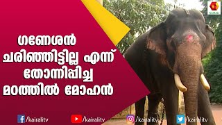 മണ്മറഞ്ഞ ഗണേശന് പകരക്കാരനായി മാറിയ  മഠത്തിൽ മോഹൻ | e4 elephant | elephant lovers