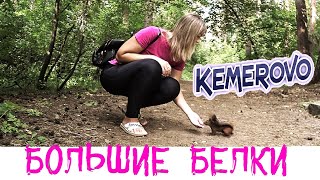 Большие белки