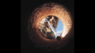 What's Going On Inside Of Me: The Scanning Fiber Endoscope