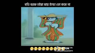 এত শীত কেনো??