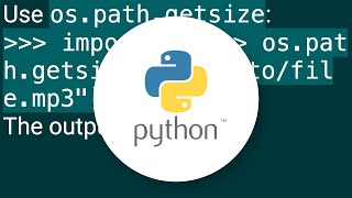 How do I check file size in Python?