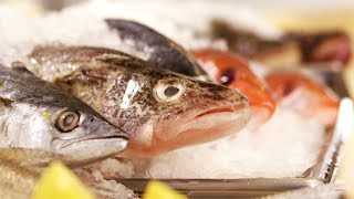 Expressément cuisine: Automne 2024 Ép12 - Les poissons blancs