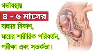 গর্ভাবস্থায় ৪ - ৬ মাসের লক্ষণ, বাচ্চার বিকাশ,পরীক্ষা ও সতর্কতা। Baby Growth In The Womb 4-6th Months