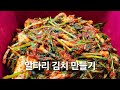 [알타리 김치 만들기] 김장하기 전 심어둔 알타리를 솎아다  김치 만들어 드시면 좋아요.