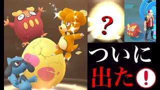 【ポケモンGO】７キロタマゴ９連！やっと孵化！ダルマッカやあの色違いポケモンも！？ようやくキラポケモンの確率上昇。【旧正月イベント・リオル】